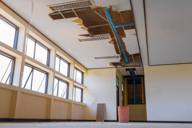 Best Carpet water damage restoration  in Cedar Heights, MD