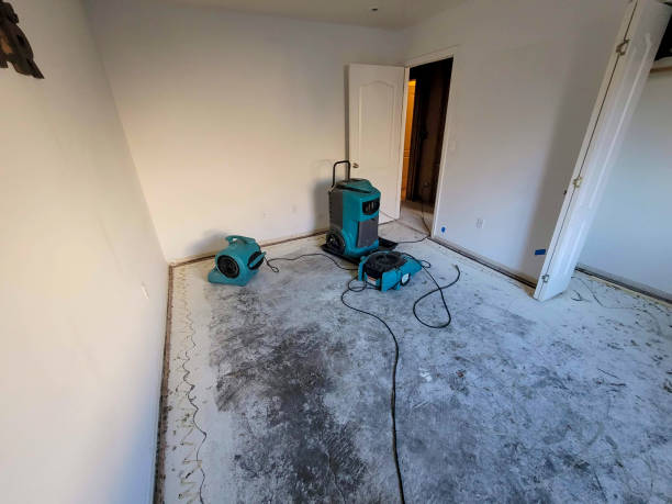 Best 24-hour water damage restoration  in Cedar Heights, MD