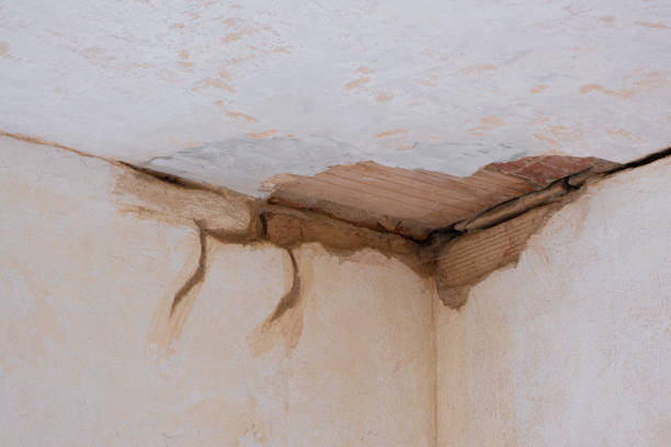 Best Local water damage restoration  in Cedar Heights, MD