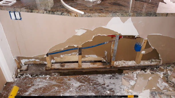 Best Water damage restoration near me  in Cedar Heights, MD