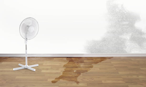  Cedar Heights, MD Water damage restoration Pros