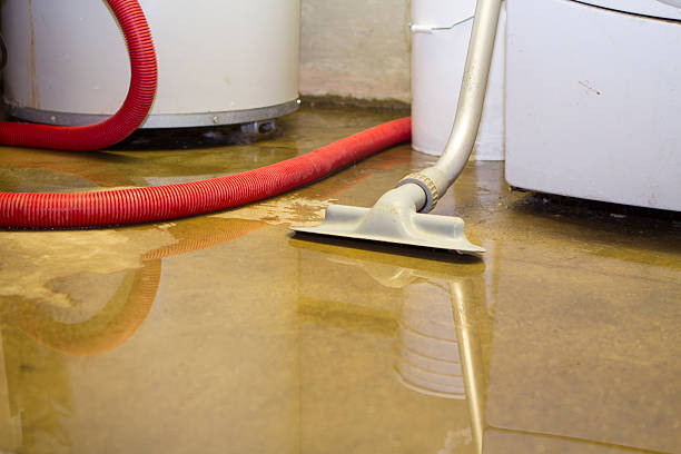 Best Flood restoration services  in Cedar Heights, MD