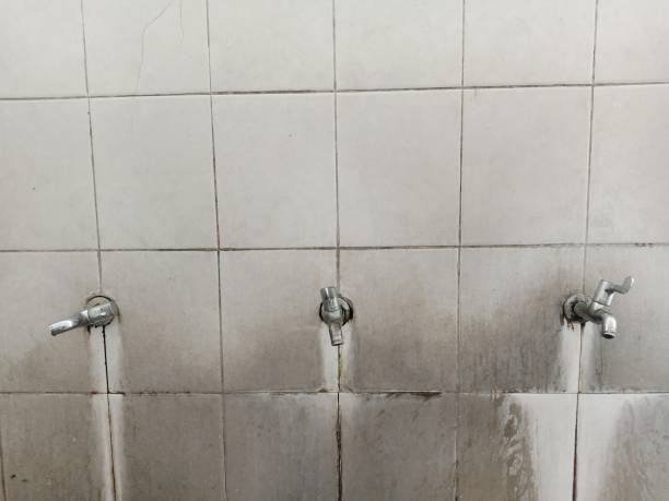 Best Emergency water damage restoration  in Cedar Heights, MD