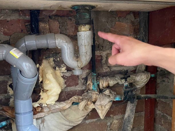 Best Flood damage cleanup  in Cedar Heights, MD