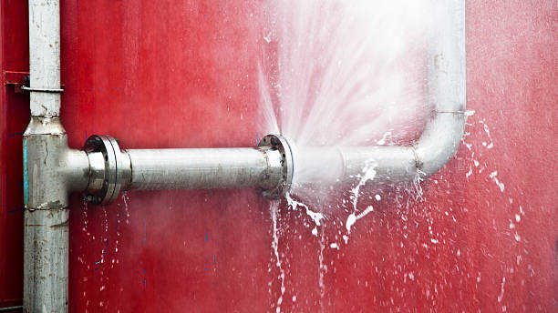 Best 24-hour water damage restoration  in Cedar Heights, MD