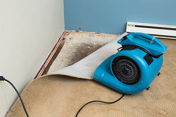 Best Sewage cleanup and water damage restoration  in Cedar Heights, MD